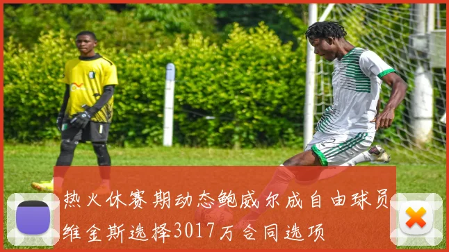 热火休赛期动态鲍威尔成自由球员维金斯选择3017万合同选项
