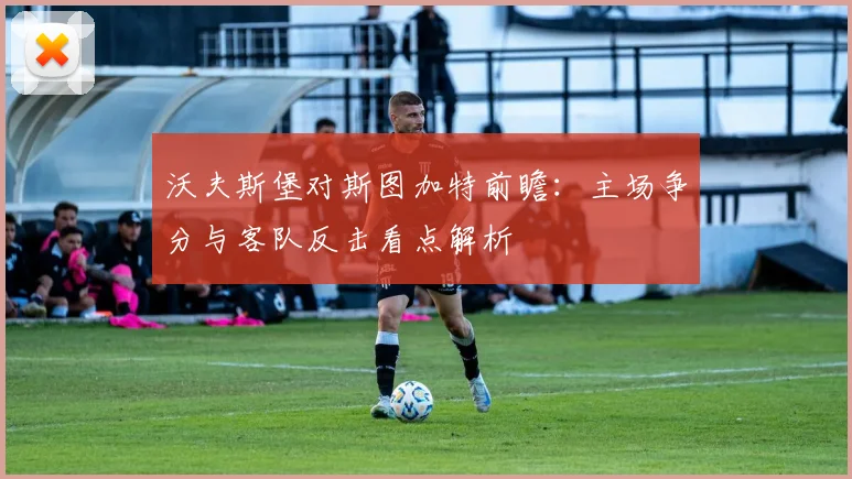 沃夫斯堡对斯图加特前瞻：主场争分与客队反击看点解析